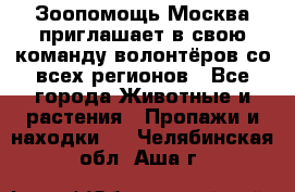 Зоопомощь.Москва приглашает в свою команду волонтёров со всех регионов - Все города Животные и растения » Пропажи и находки   . Челябинская обл.,Аша г.